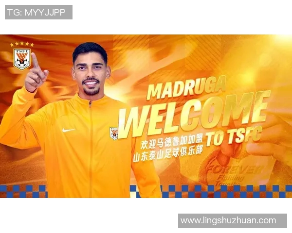 2010年足球明星卡收藏价值分析与市场趋势预测